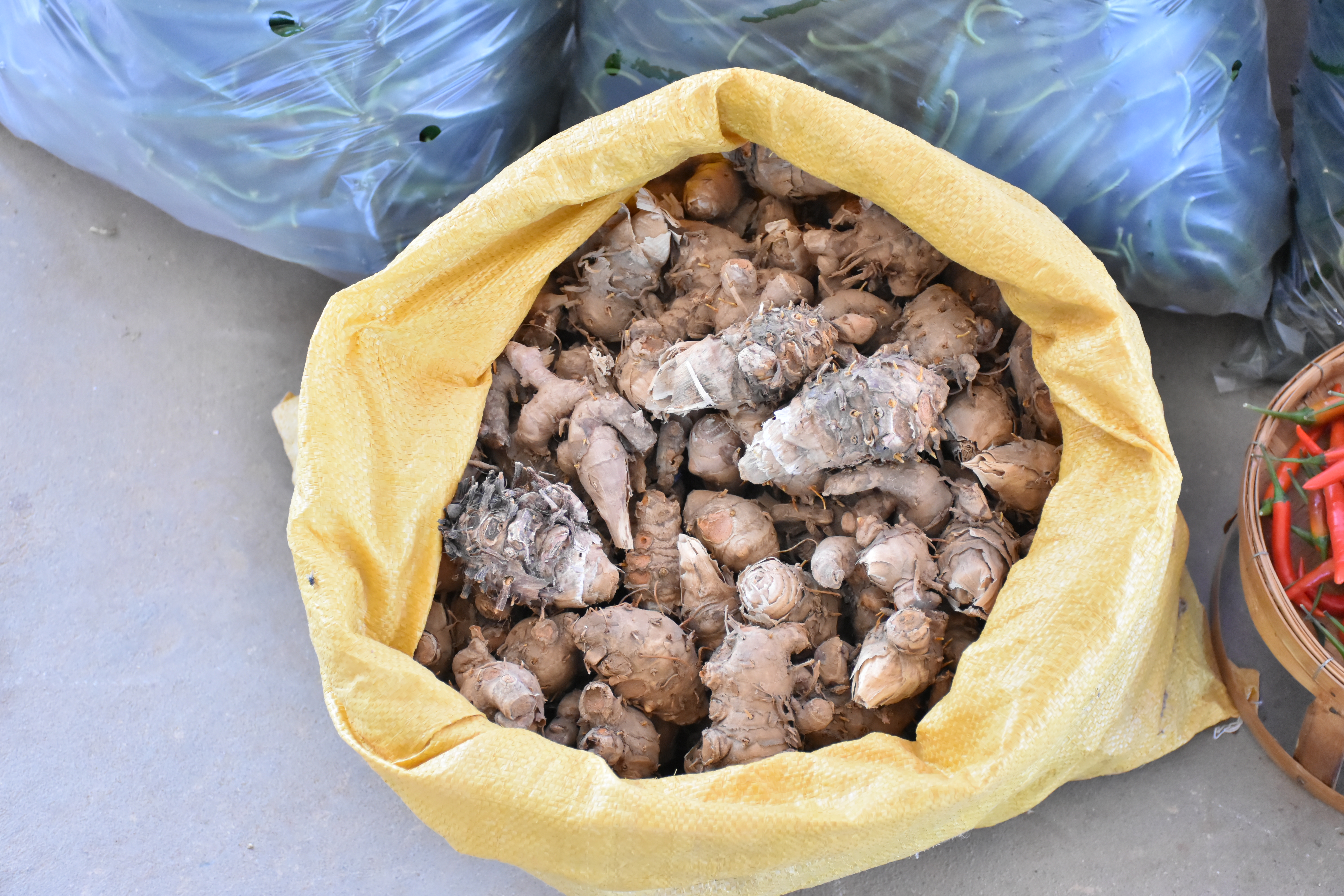 title - ผู้ตรวจราชการกระทรวงเกษตรและสหกรณ์ เขตตรวจราชการที่ 14 (นางสุวรรณี ศรีสุวรรณ์) และคณะผู้ตรวจราชการกรม ลงพื้นที่ตรวจติดตามนโยบายยกระดับสินค้าเกษตรและบริการมูลค่าสูง การพัฒนาสินค้าเกษตรมูลค่าสูง โครงการส่งเสริมและพัฒนาสินค้าเกษตรชีวภาพ (สมุนไพร) ณ แปลงใหญ่สมุนไพร หมู่ 10 บ้านห้วยร่องคำ ตำบลกุดปลาดุก อำเภอเมืองอำนาจเจริญ จังหวัดอำนาจเจริญ